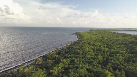 DJI-Drohne-Fliegt-Schnell-über-Aufnahmen-über-Baumkronen-An-Der-Küste-Von-Punta-Allen-Beach