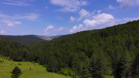 Weiden-Mit-Grünem-Frischem-Gras,-Gesäumt-Von-Kiefernwäldern-Auf-Den-Wunderschönen-Bergen-Albaniens