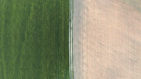 Overhead-tracking-aerial-4k-shot-of-a-straight-dirt-road-in-the-Czech-Republic-between-a-green-meadow-on-the-left-side-and-a-dry-beige-crop-on-the-right