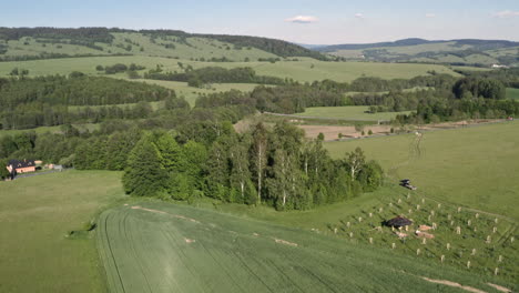 Rotating-scenic-aerial-4k-shot-of-a-grove-of-trees-and-saplings-in-the-middle-of-green-fields-surrounded-by-a-panoramic-countryside-of-Dolní-Morava,-Czech-Republic