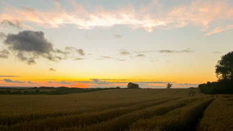 Time-lapse,-panoramic-landscape-view-of-golden-cultivated-fields,-during-sunset