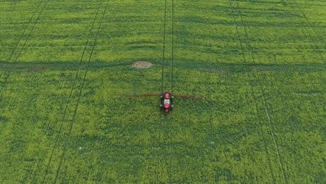 Tractor-spraying-fungicide-on-canola-in-green-field,-drone-shot