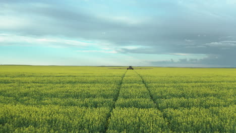 Tractor-Spraying-Fungicide-On-The-Flowering-Canola-With-Tractor-Tracks-On-The-Field-In-Saskatchewan,-Canada