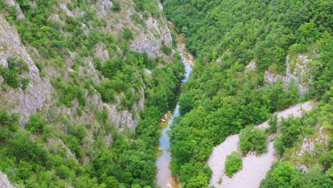 Bregava-River-Flows-In-Tree-Lined-Gorge-In-Rural-Bosnia-and-Herzegovina