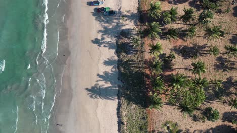 Luftaufnahme-Von-Oben-Nach-Unten-Von-Exotischen-Tropischen-Sandstrand,-Wellen,-Palmen-Und-Schatten