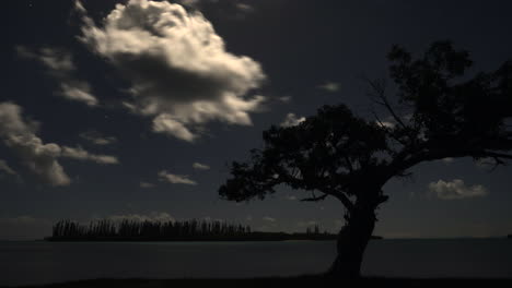 Nachtzeitraffer-Von-Mondbeschienenen-Wolken,-Die-Sich-Hinter-Einem-Baum-Auf-Der-Insel-Der-Kiefern-Bewegen