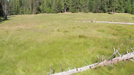 Low-aerial-shot-tilting-up-to-reveal-an-idyllic-mountain-meadow-nestled-in-a-thick-forest