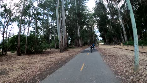 Andar-En-Bicicleta-A-Través-De-Un-Bosque-De-árboles-En-El-Sendero-Recreativo-Costero-De-La-Bahía-De-Monterey