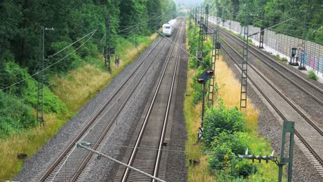 A-train-approaches-quickly-down-the-railroad-line-with-bright-trees-and-thick-bushes-surrounding-it