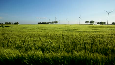 Panoramic-shot-of-a-windmill-farm,-in-a-country-cultivated-field,-on-a-sunny-and-windy-evening