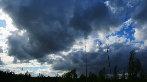 Time-lapse-of-fast-moving-clouds-and-swaying-trees-by-daytime