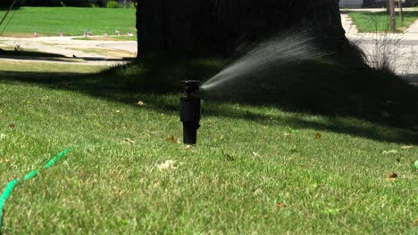 Long-shot-of-a-sprinkler-head-opening-up-and-turning-on-to-water-a-lawn