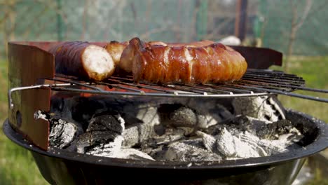 Roasting-delicious-sausages-for-an-outdoor-picnic---close-up