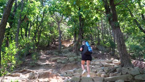 Eine-Wanderin,-Die-Allein-Auf-Dem-Weg-Den-Hügel-Im-Gwanaksan-Gebirge-In-Südkorea-Hinaufgeht,-Wobei-Das-Sonnenlicht-Durch-Die-Bäume-Scheint---Aufnahme-Aus-Niedrigem-Winkel
