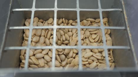 View-inside-an-industrial-almond-crusher