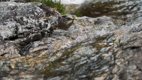 Slow-motion-close-up-of-small-clear-river-flowing-over-rocks