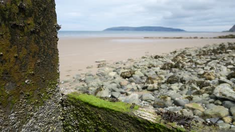 Pebble-beach-coast-dolly-left-across-seaweed-covered-barriers-on-sandy-seafront