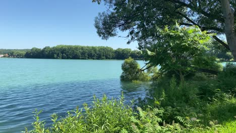 Ruhiger-See-In-Der-Natur-An-Sonnigen-Tagen-Und-Schöne-Waldlandschaft-Im-Hintergrund,-Statisch
