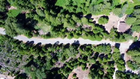 Beautiful-bird's-eye-top-aerial-drone-shot-of-a-small-forest-road-near-Bass-Lake-in-Northern-California-which-is-a-small-beach-town