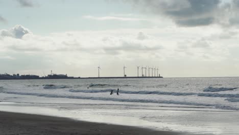 Several-silhouetted-children-playing-in-waves-as-wind-turbines-turn-in-the-distance,-Belgian-coast,-North-Sea