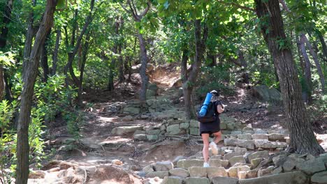 Una-Excursionista-Caminando-Sola-Por-El-Sendero-En-La-Montaña-Gwanaksan-En-Corea-Del-Sur-Con-La-Luz-Del-Sol-Brillando-A-Través-De-Los-árboles---Gran-Plano