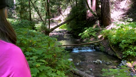 Older-adult-Asian-woman-in-pink-shirt-looks-at-small-waterfall-and-stream-as-camera-slowly-pans-left-revealing-beautiful-landscape