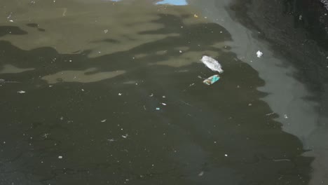 The-ocean-river-is-full-of-rubbish