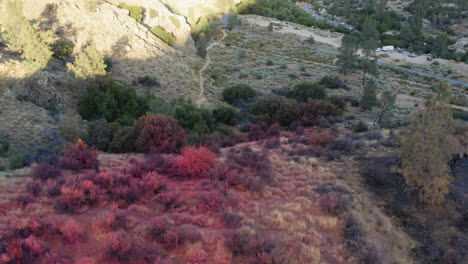 Aerial-view:-aftermath-of-California-wildfire-fire-retardant-dropped-over-forest