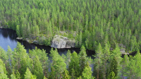 Drone-video-of-river-in-the-middle-of-forest