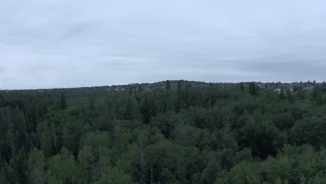 aerial-panaramic-lush-green-forest-horizon-next-to-a-a-cookiecut-home-community-on-a-cloudy-summer-day-with-a-tiny-glimpse-of-the-highway-freeway