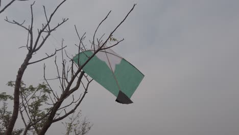 Kite-crashed-on-the-tree