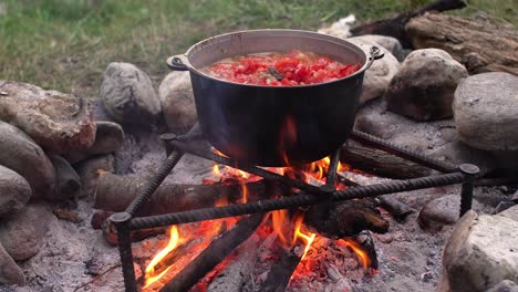 Camping-in-the-wood-Cooking-on-the-fire-Field-kitchen