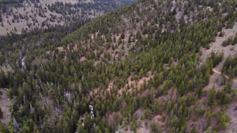 Aerial-overhead-shot-over-the-forest-of-the-Estes-Park-in-Colorado-with-a-narrow-river-in-it