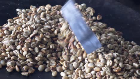 Close-up-shot-to-the-coffee-girl-while-she-roasting-the-beans,-in-this-shot-the-beans-still-green,-and-yet-to-be-turn-into-dark-color-after-roasting-process