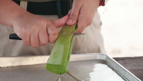 An-aloe-farm-worker-cuts-open-an-aloe-vera-leaf-with-a-paring-knife,-revealing-the-clear-gel-inside