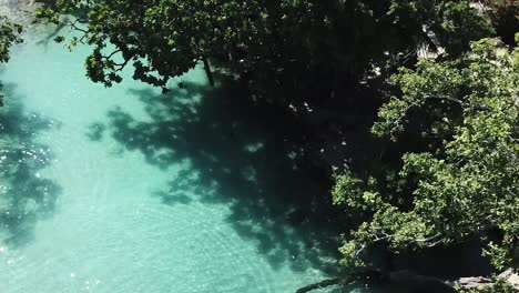 Flying-in-treetops-over-blue-lagoon-people-jumping-into-stunning-clear-water