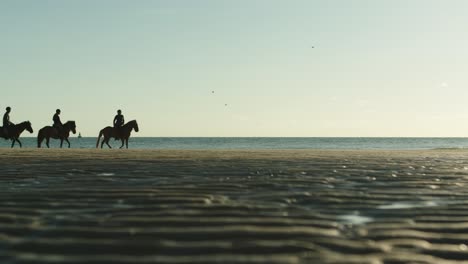 Silhouettes-of-people-on-horseback-on-beach.-Static