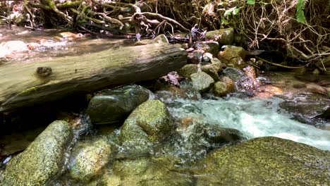 Wide-shot-of-log-across-mountain-stream,-camera-slowly-pans-right-revealing-waterfall-and-flowing-stream-over-river-rocks-and-clear-creek-water-with-pebbles-visible-in-foreground