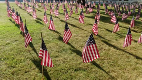 Flags-adorn-lawn,-Americana-theme,-July-4th,-Memorial-Day,-Veterans-Day-celebration,-honor-and-respect-veterans-of-war