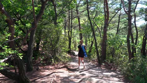 Eine-Wanderin,-Die-An-Einem-Sommertag-Auf-Dem-Weg-Im-Gwanaksan-Gebirge-In-Südkorea-Spazieren-Geht-Und-Sonnenlicht-Durch-Die-Bäume-Scheint---Weitschuss