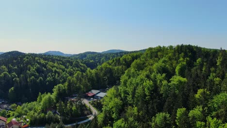 Luxuriant-and-green-forest-of-Velenje-,-Slovenia