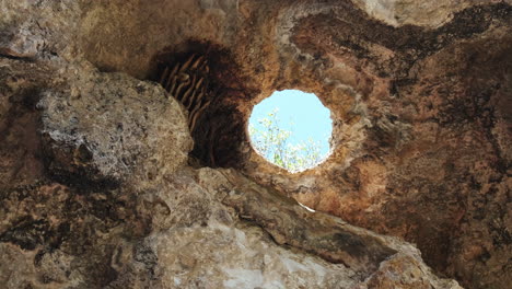 Static-shot-of-hole-in-cave-with-many-flying-bees-outdoors-during-spring-season
