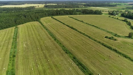 View-of-mowed-meadows-and-farm-from-drone-flight,-panoramic-view