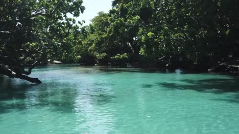 Blaue-Lagune-Vanuatu-Drohne-Fliegt-Tief-Und-Rückwärts-Zwischen-Bäumen-Person-Schwimmt-Im-Schwimmloch