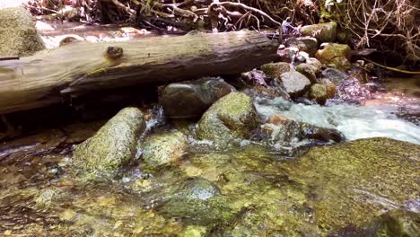 Wide-static-shot-of-fallen-log-across-mountain-stream,-waterfall-and-river-rocks-in-sharp-detail,-very-slight-forward-movement-and-left-pan-to-show-more-of-creek