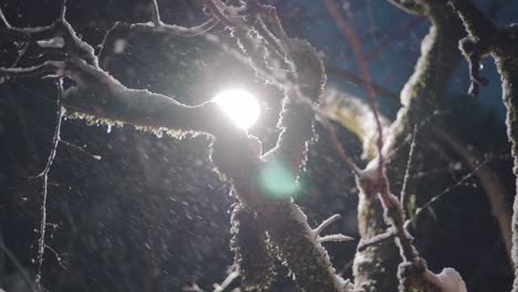Copos-De-Nieve-Cayendo-En-Una-Noche-De-Invierno-En-Kyoto,-Japón
