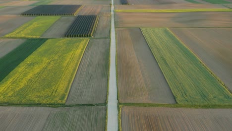 Glorious-Morning-View-By-The-Rapeseed-Field-In-Croatia---ascending-drone-shot