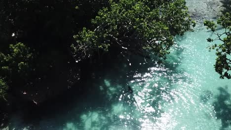 Blick-über-Die-Atemberaubende-Blaue-Lagune-Person,-Die-Unter-Den-Bäumen-Schwimmt