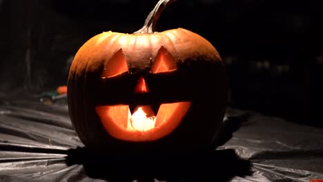 Eine-Frisch-Geschnitzte-Halloween-Kürbislaterne