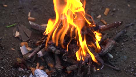 Bonfire,-Fire-flames-in-campfire-in-slowmotion,-Camping,-Burning-woods